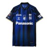 Officiële Voetbalshirt Gamba Osaka Thuis 2025-26 - Heren